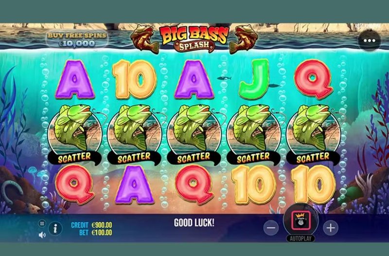 Overview of pragmatic big bass splash